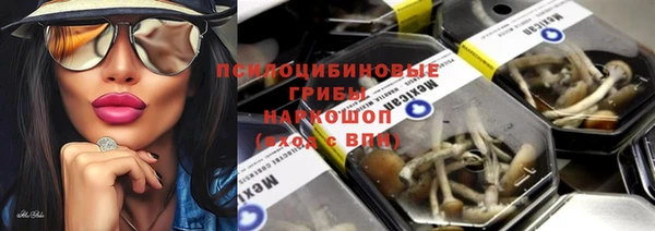 ГАЛЛЮЦИНОГЕННЫЕ ГРИБЫ Алексеевка